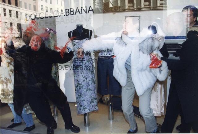 Để bảo vệ môi trường, Dolce & Gabbana đã có 1 quyết định khiến ai nấy nửa tin, nửa ngờ - Ảnh 4.