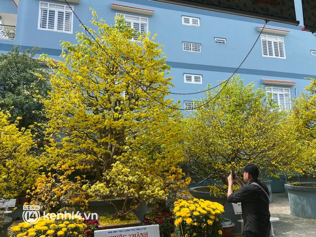 A 200-year-old maid dyed a corner of the western sky yellow, guests flocked to check in during Tet - Photo 1.