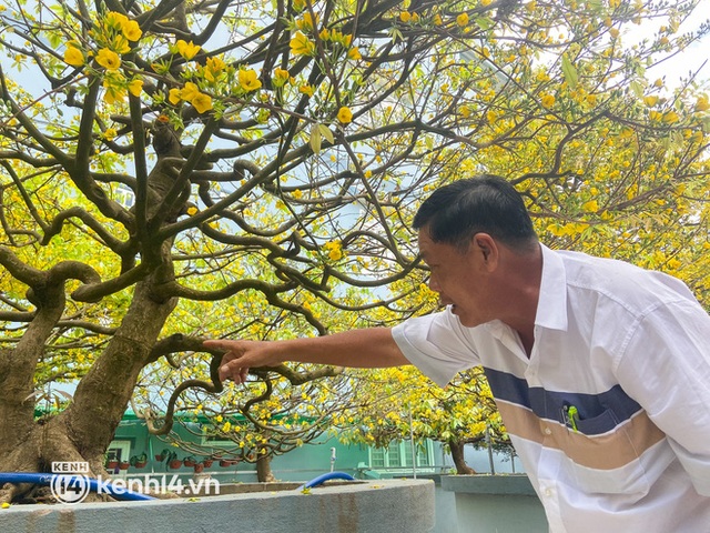 A 200-year-old maid dyed a corner of the Western sky yellow, guests flocked to check in during Tet - Photo 4.