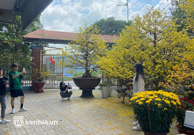 A 200-year-old maid dyed a corner of the western sky yellow, guests flocked to check in during Tet - Photo 9.