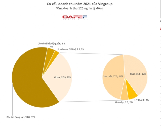 Hơn 5 tỷ USD doanh thu của Vingroup đến từ đâu? - Ảnh 2.