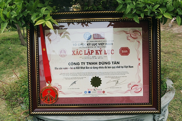 4 hồ cá Koi tiền tỷ khiến người sành chơi trầm trồ: Giá trị tương đương cả căn nhà, có hồ xây bằng chất liệu quý ghi danh kỉ lục Việt Nam - Ảnh 6.