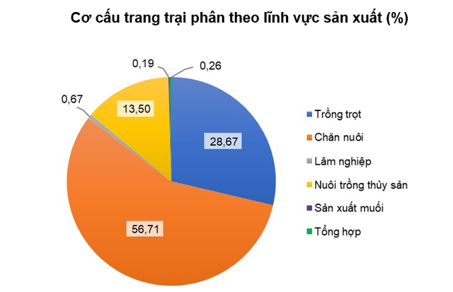 Loạt địa phương có doanh thu thuần bình quân 1 DN nông, lâm nghiệp và thủy sản dưới 10 tỷ đồng: Cao Bằng, Lào Cai, Đà Nẵng... chỉ đạt dưới 5 tỷ đồng - Ảnh 2.