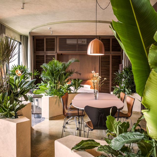 Gia chủ Sài Gòn mang cả khu vườn nhiệt đới vào bên trong căn hộ gần 90 m2 nằm giữa khu nhà giàu quận 2 - Ảnh 5.