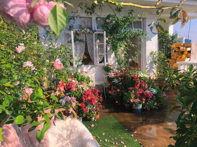 Đam mê với việc trồng hoa, cô nàng độc thân 27 tuổi thuê nhà trên sân thượng để tạo ra khu vườn đẹp như tranh vẽ của riêng mình - Ảnh 20.