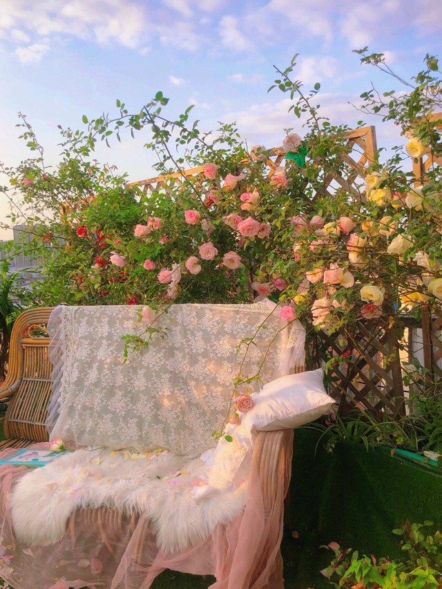 Đam mê với việc trồng hoa, cô nàng độc thân 27 tuổi thuê nhà trên sân thượng để tạo ra khu vườn đẹp như tranh vẽ của riêng mình - Ảnh 8.