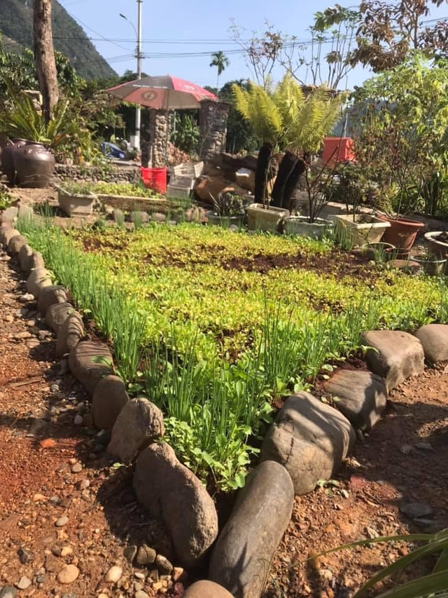 Nhà vườn trong phố của gia đình cô giáo ở Hà Giang: Dồn tâm huyết cho mảnh vườn, cùng chồng và các con sống gần gũi với thiên nhiên - Ảnh 4.