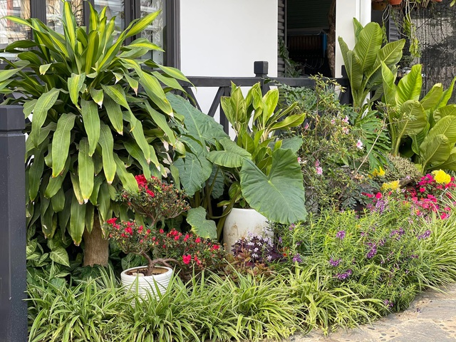 Nhà vườn trong phố của gia đình cô giáo ở Hà Giang: Dồn tâm huyết cho mảnh vườn, cùng chồng và các con sống gần gũi với thiên nhiên - Ảnh 3.