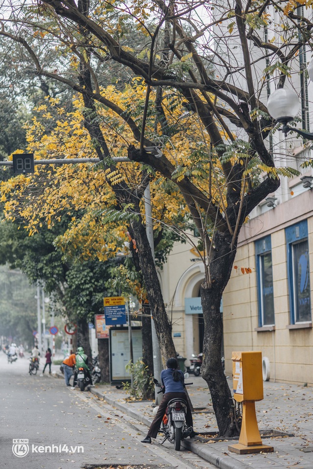 Dân tình “chạy vội” check-in mùa thay lá ở Hà Nội - thủ đô đang vào những ngày đẹp khó thở! - Ảnh 12.