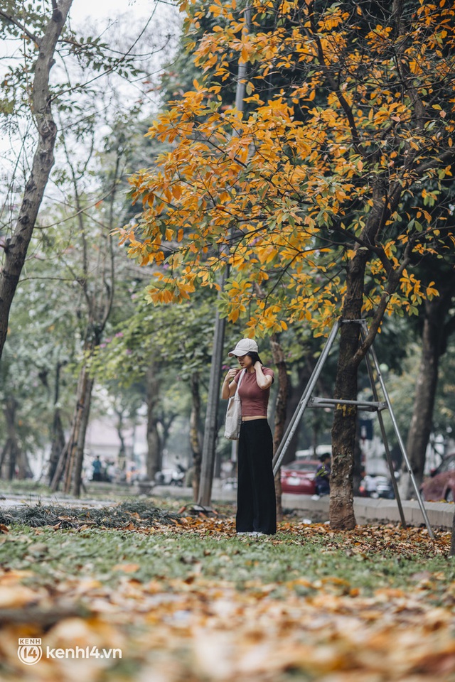 Dân tình “chạy vội” check-in mùa thay lá ở Hà Nội - thủ đô đang vào những ngày đẹp khó thở! - Ảnh 10.