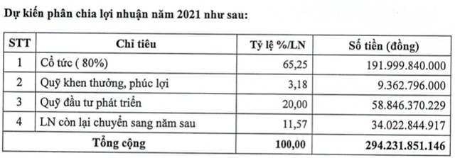 KCN Nam Tân Uyên (NTC) dự kiến chia cổ tức năm 2021 tỷ lệ 80% - Ảnh 2.