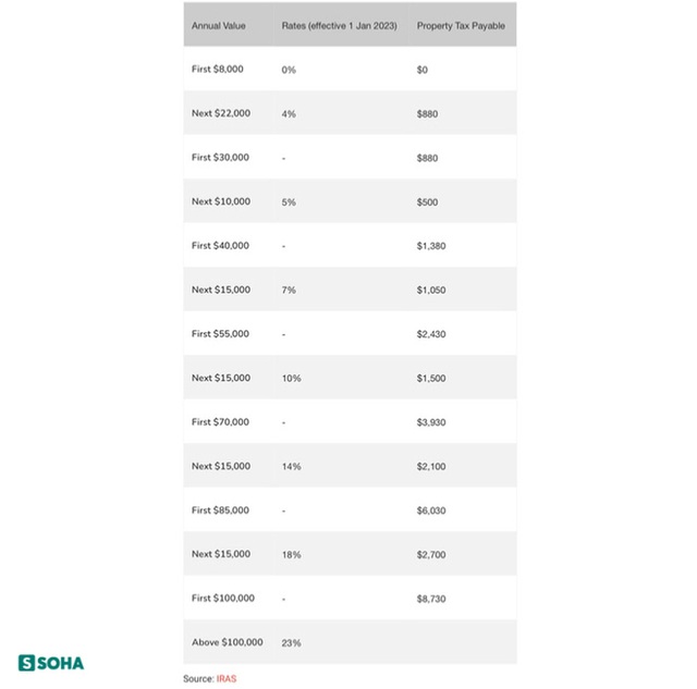Việt Nam chưa đánh thuế nhà đất nhưng nước láng giềng đã tăng loại thuế này - Ảnh 2.