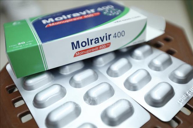 4 lưu ý về thuốc Molnupiravir dù bạn là F0 hay vẫn chưa nhiễm bệnh đều cần biết rõ - Ảnh 2.