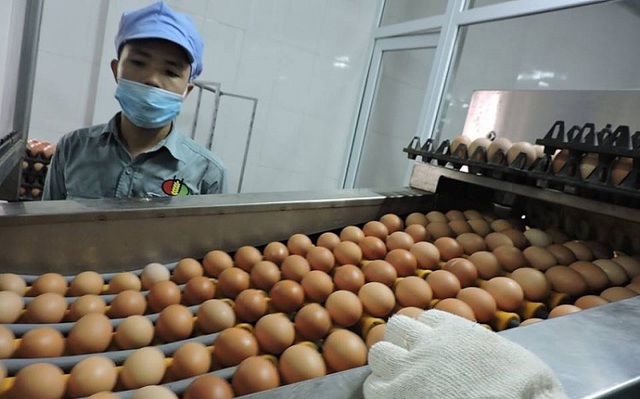 Thiếu trầm trọng nhưng Hàn Quốc phải chi số tiền lớn tiêu hủy 21 triệu quả trứng nhập khẩu vì "không hợp ý người tiêu dùng"