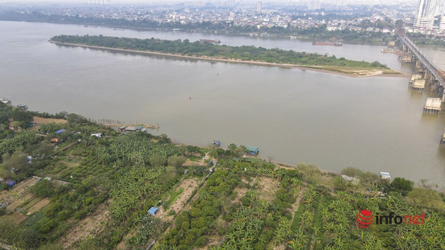 Hà Nội: Toàn cảnh bãi giữa sông Hồng nên thơ được đề xuất cải tạo thành công viên văn hóa - Ảnh 20.