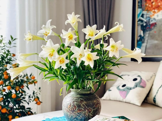 Đón nắng tháng 3 cùng hoa loa kèn tinh khôi đầu mùa giá thành khá cao nhưng chị em Hà thành vẫn tấp nập đặt mua - Ảnh 7.