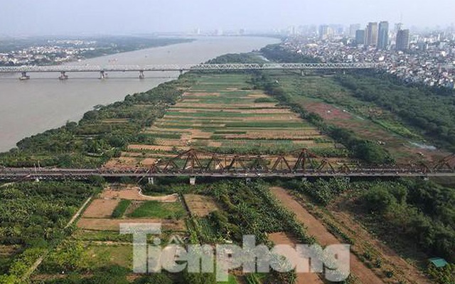 Hà Nội 'siết' thu tiền đất, xử nghiêm trường hợp chây ỳ làm hồ sơ thuê đất