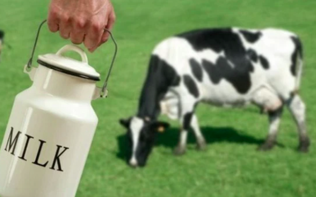 Giá nguyên vật liệu và logistics đột biến đang "ăn mòn" lợi nhuận: Áp lực bao trùm ngành sữa và Vinamilk