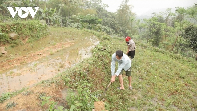 Phân bón đắt đỏ, nhiều nông dân vùng cao Lào Cai bỏ trống ruộng nương - Ảnh 1.