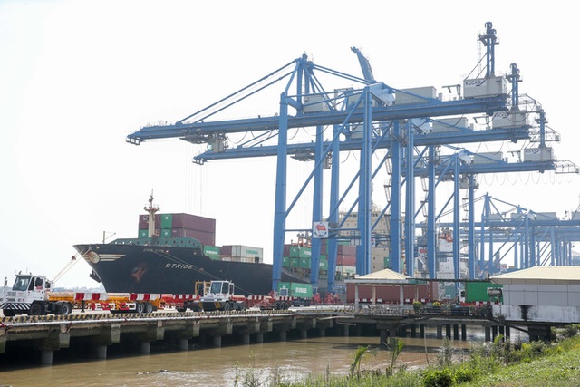 Đề xuất Tp Hồ Chí Minh mức thu phí cảng biển chung cho hàng hóa đóng ghép trong 1 container - Ảnh 1.