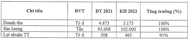 Nguyên liệu đầu vào tăng mạnh, Nhựa Tiền Phong (NTP) đặt mục tiêu lợi nhuận sụt giảm trong năm 2022 - Ảnh 2.