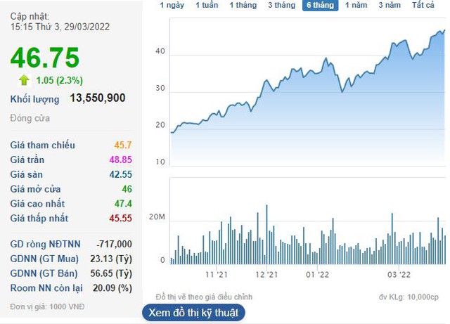 Dragon Capital chốt lời vùng đỉnh 1,1 triệu cổ phiếu Đất Xanh Group (DXG) - Ảnh 1.