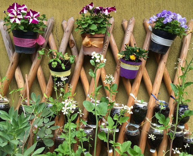 12 ý tưởng nhỏ nhưng cực hay để bạn tha hồ làm vườn trong nhà nhỏ - Ảnh 10.