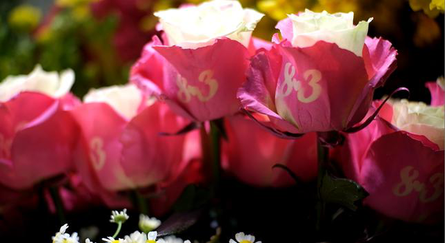 Độc đáo bông hoa hồng làm từ thịt giá gần 1 triệu đồng/bông tặng vợ ngày 8/3 - Ảnh 2.
