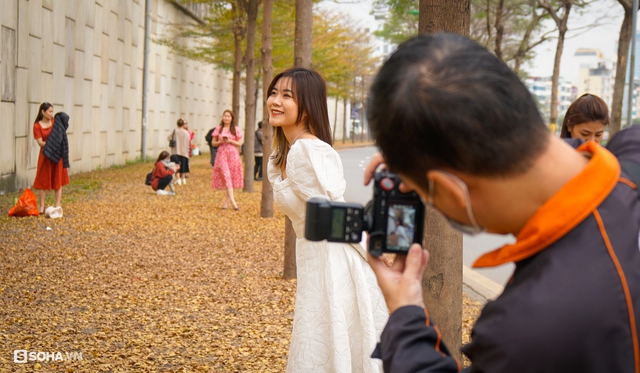  Giới trẻ thích thú check in hàng cây lá vàng đẹp như phim Hàn Quốc ở Hà Nội - Ảnh 5.
