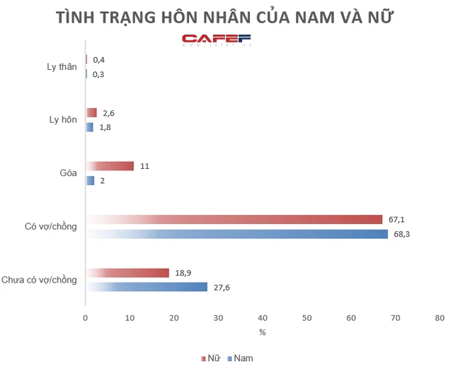 Phát hiện lạ về hôn nhân gia đình: Tỷ lệ ly hôn ở miền Nam cao hơn miền Bắc và miền Trung, tỷ lệ nữ góa chồng cao gấp 5 lần nam góa vợ - Ảnh 4.