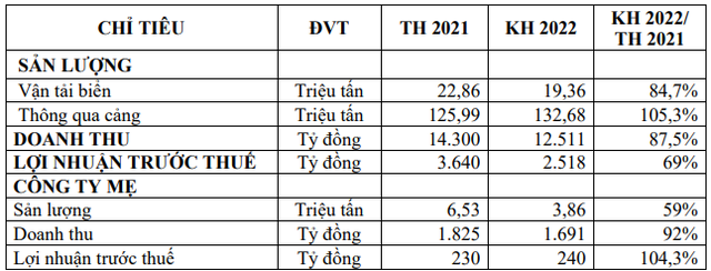 Tổng Công ty Hàng Hải Việt Nam (VIMC) đặt kế hoạch đi lùi trong năm 2022, trình phương án phát hành tăng vốn điều lệ vượt 13.000 tỷ đồng - Ảnh 2.