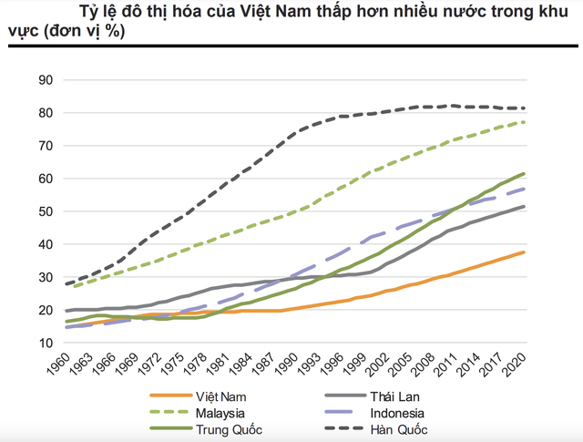 So sánh lượng tiêu thụ thép bình quân đầu người của Việt Nam với Thái Lan, Malaysia, Nhật Bản... - Ảnh 4.