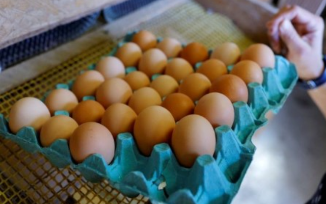 Giá trứng tăng trên toàn cầu do bùng dịch cúm gia cầm
