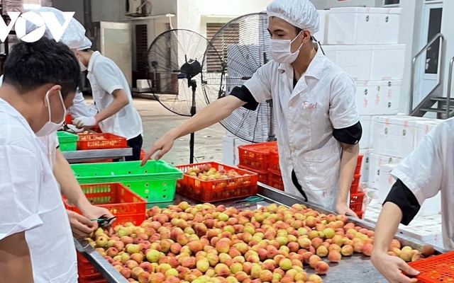 Các FTA Việt Nam đã thực thi giúp mở ra cơ hội thuế quan cho DN trong hoạt động xuất khẩu.