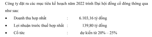 Thiên Nam Group (TNA) đặt kế hoạch lãi năm 2022 gấp 5,4 lần - Ảnh 1.