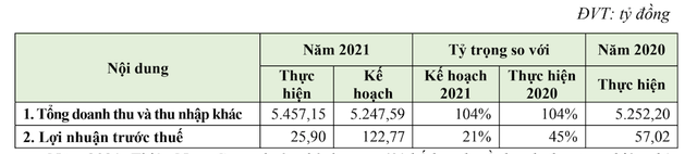 Thiên Nam Group (TNA) đặt kế hoạch lãi năm 2022 gấp 5,4 lần - Ảnh 2.