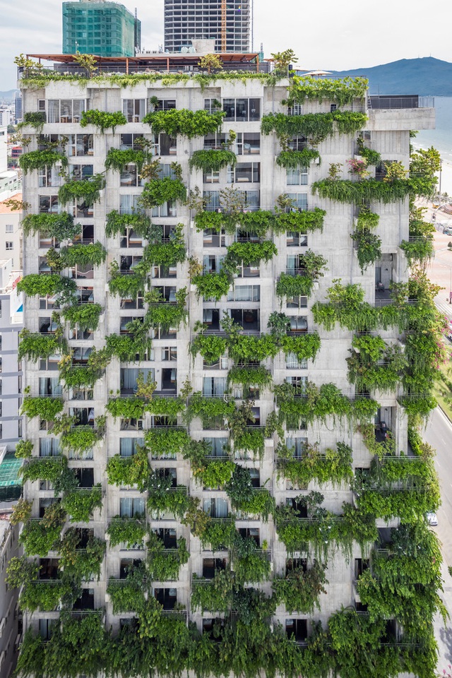 Toà nhà xanh mướt ở Đà Nẵng khiến bất cứ ai đi ngang cũng phải ngoái nhìn, dân mạng trầm trồ vì thiết kế quá độc lạ - Ảnh 4.
