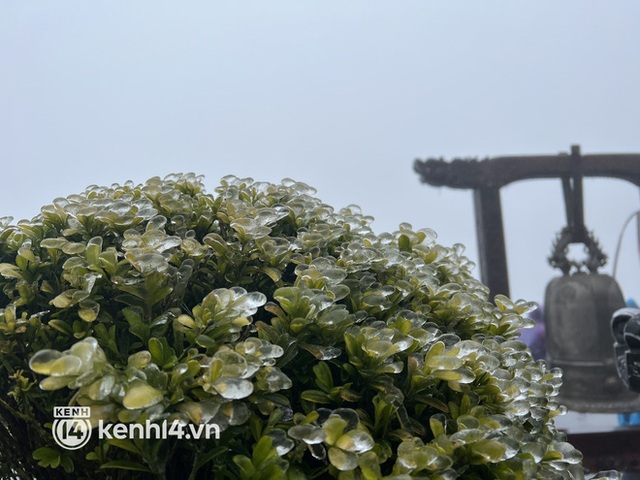  Băng giá bao phủ đỉnh Fansipan, cảnh tượng kỳ thú khiến du khách thích mê ngày cuối tháng Ba - Ảnh 2.