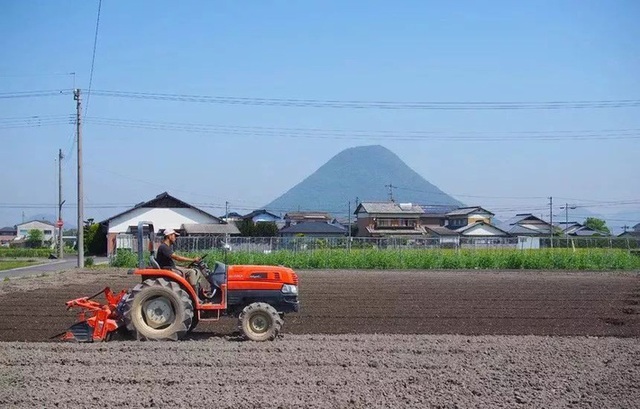 Sau trận động đất lớn ở Nhật, đôi vợ chồng đã bỏ công việc thành phố, cùng con gái về nông thôn trồng rau làm vườn - Ảnh 4.
