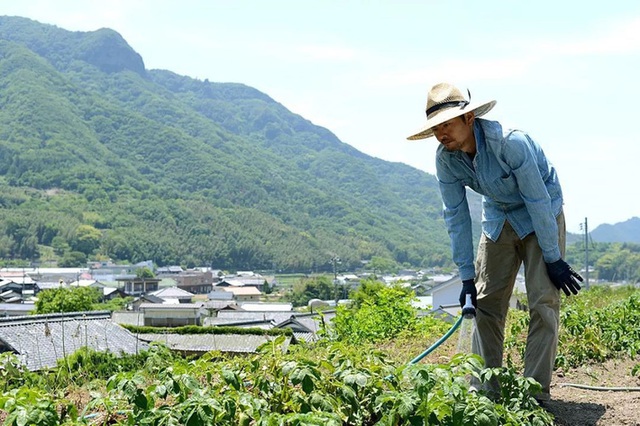 Sau trận động đất lớn ở Nhật, đôi vợ chồng đã bỏ công việc thành phố, cùng con gái về nông thôn trồng rau làm vườn - Ảnh 8.