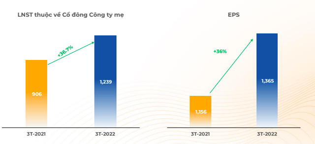 Tập đoàn FPT đạt 1.239 tỷ lãi ròng, tăng trưởng 37% trong quý 1/2022 - Ảnh 3.