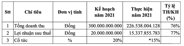 ĐHCĐ SHE Sơn Hà: Đẩy mạnh đầu tư Xe máy điện, đặt kế hoạch tăng trưởng lợi nhuận 30% - Ảnh 1.