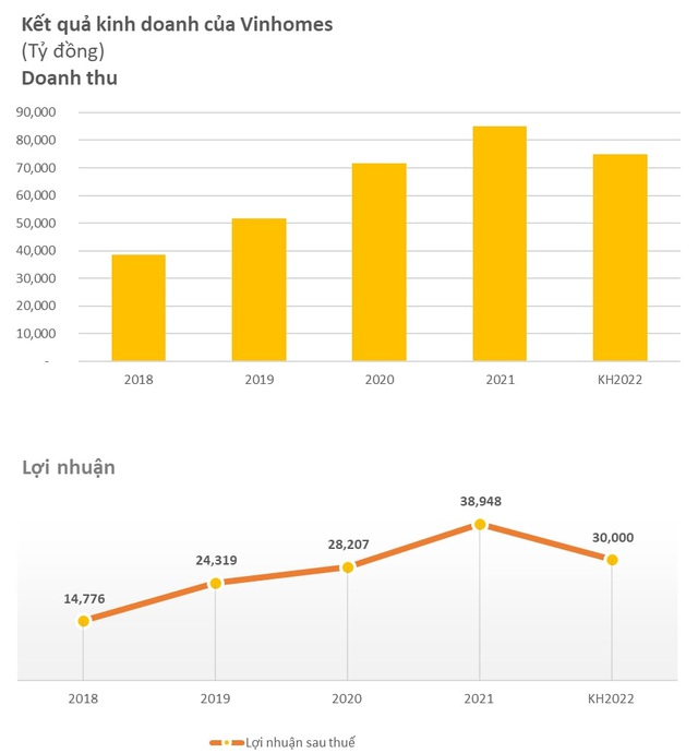 Vinhomes (VHM) đặt kế hoạch lợi nhuận 30.000 tỷ, bằng 77% năm 2021 - Ảnh 1.