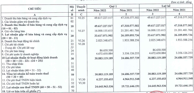 Cảng Cát Lái (CLL) lãi ròng quý 1 tăng 25% - Ảnh 1.