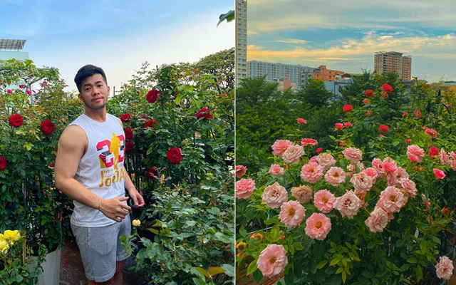 Vườn hoa hồng đẹp ngây ngất trên sân thượng giữa Sài thành của anh ...