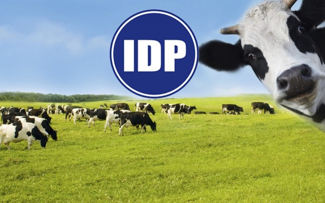 Đặt kế hoạch "đi lùi" trong năm 2022, Sữa quốc tế (IDP) đạt gần 48% mục tiêu lợi nhuận cả năm ngay từ quý I