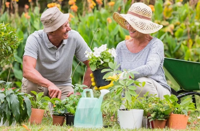 Những người sống lâu nhất thế giới luôn làm đủ 4 điều đơn giản này mỗi ngày để mạch máu trẻ khỏe, cả đời không lo bệnh tim mạch - Ảnh 2.