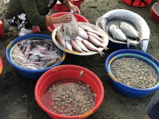  Cận cảnh chợ cá chỉ bán lúc tinh mơ nơi bãi biển đẹp nhất hành tinh  - Ảnh 3.