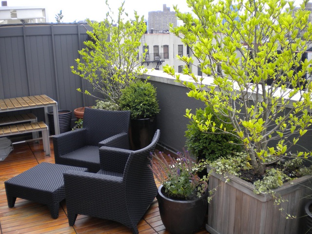 Những thiết kế vườn trên sân thượng vừa đẹp, vừa dễ làm, rất phù hợp với nhà phố - Ảnh 4.
