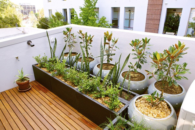 Những thiết kế vườn trên sân thượng vừa đẹp, vừa dễ làm, rất phù hợp với nhà phố - Ảnh 5.
